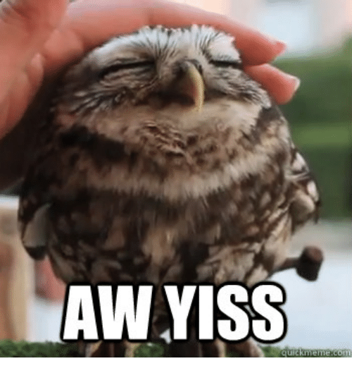 Aww yiss